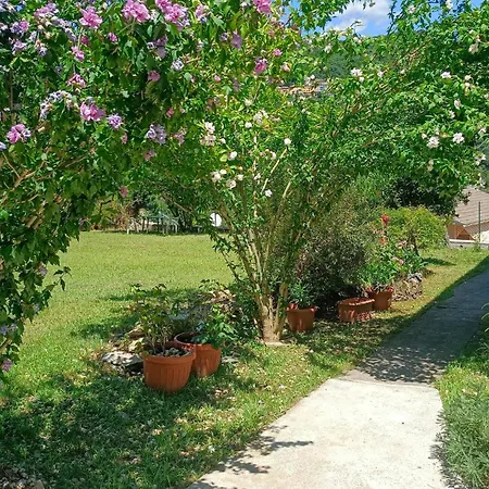 3 Bedroom Pet Friendly In Terrile Nyaraló