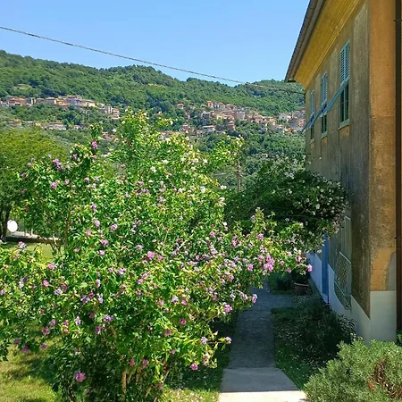 3 Bedroom Amazing In Terrile *