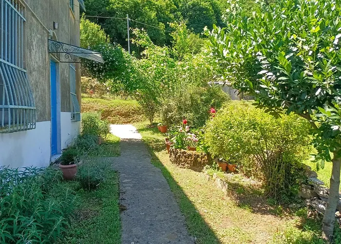 3 Bedroom Amazing In Terrile * Uscio